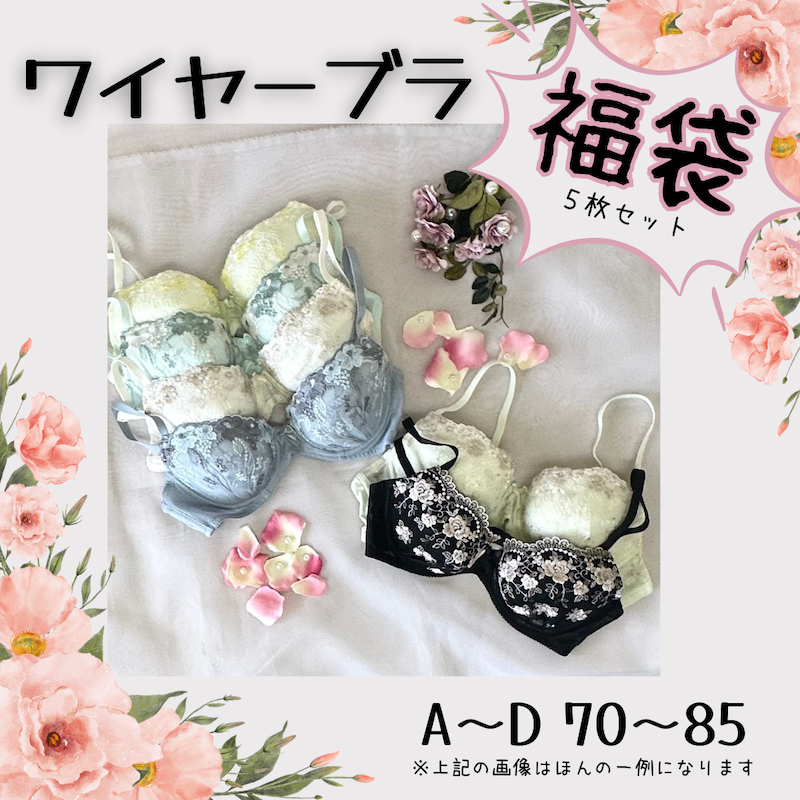 ワイヤーブラ（単品）福袋【5枚セット】