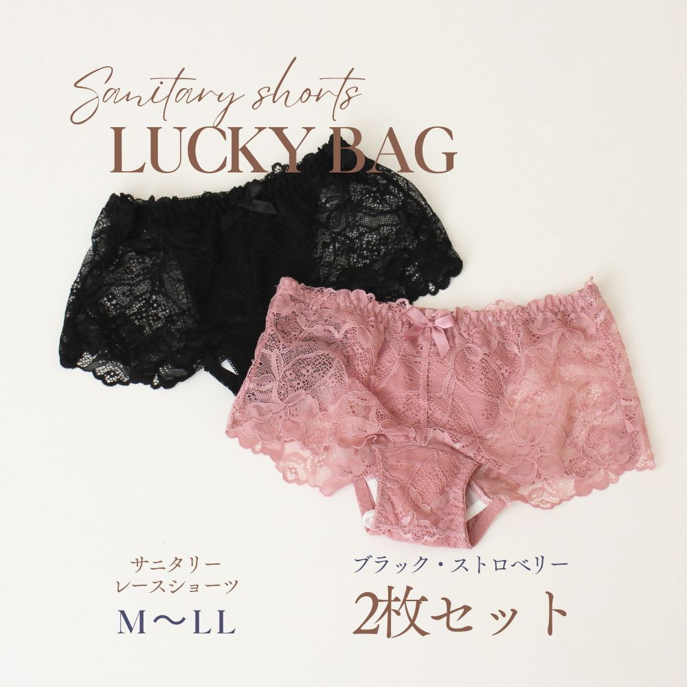 サニタリーショーツ レースタイプ ブラック＆ストベリー2枚組セット